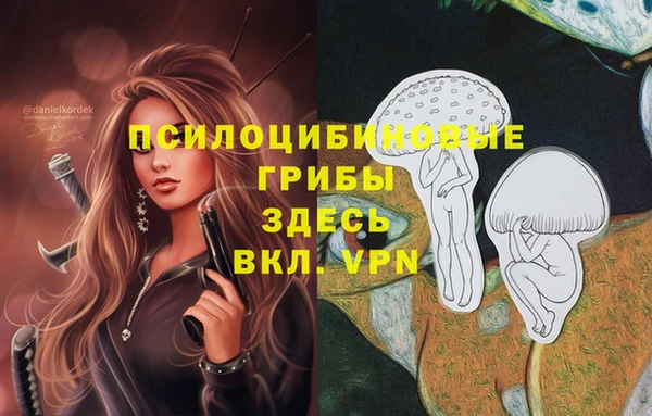 не бодяженный Алексин